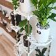 detail image5 [Bandi] 9 tier plant stand shelf