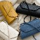 detail image1 2021 Simple Design Underarm Purse Women Shoulder Stone Pattern Pu Leather Bags