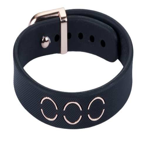 clavis bonito alpha bracelet
