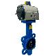 detail image1 Pneumatic Butterfly Valve TA-SB