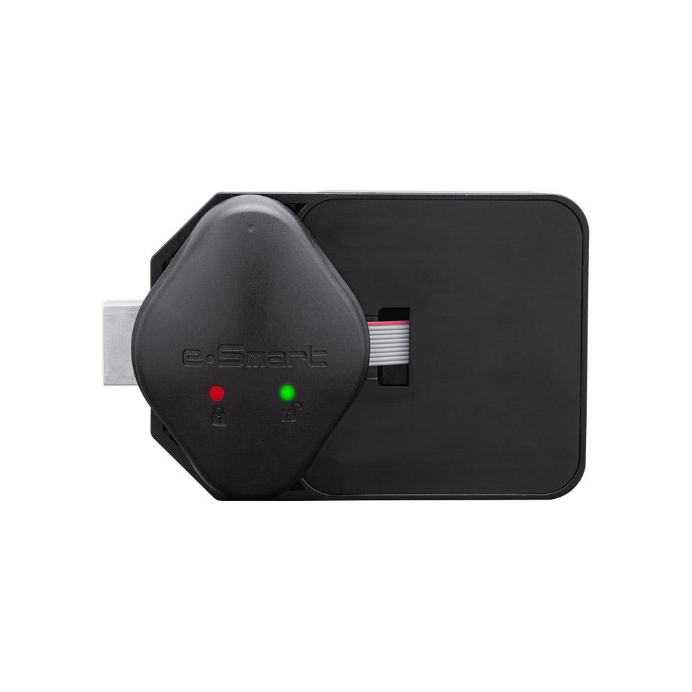Smart Door lock system - ZP100WR