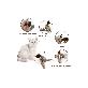 detail image1 Dancing Bird Tree Sparrow, Moving Cat Kicker Toy, Catnip Toys, Interactive Cat Toys for Cat Exercise