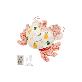 full image Dancing Crab, Moving Cat Kicker Toy, Catnip Toys, Interactive Cat Toys for Cat Exercise