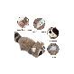 detail image1 Dancing Raccoon, Moving Cat Kicker Toy, Catnip Toys, Interactive Cat Toys for Cat Exercise, Dog Toys