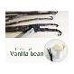 detail image1 COFFEEMANNA Premium TK Black Label Vanilla Bean