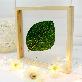 detail image4 Slide Wooden Frame Frame Making Diy Wooden Frame