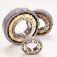 detail image1 INSULATED DEEP GROOVE BALL BEARING  MACHINED BRASS CAGE