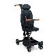 full image able trike plus