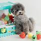 detail image3 Bear Candy ball Toy (3pcs)