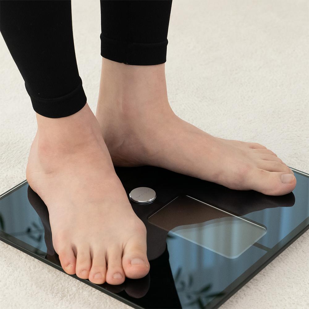 Wellness Tracker BASIC