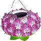 full image DAEWANG King Lotus Flower Light Lamp Solar Panel LED (5 Sets) Interior Home Decoration for Religious