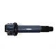 detail image2 COTT IGNITION COIL