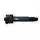 full image COTT IGNITION COIL