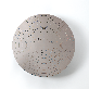 detail image1 Semiconductor Wafer Vacuum Chuck