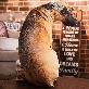 detail image1 Shining People Realistic Animal Dog Doll (1EA) - Plush Pillow, Stuffed Animal Animated, Excellent Gi
