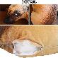 detail image2 Shining People Realistic Animal Dog Doll (1EA) - Plush Pillow, Stuffed Animal Animated, Excellent Gi