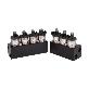 detail image1 H2001 CNGLPG GAS rail Injector Series