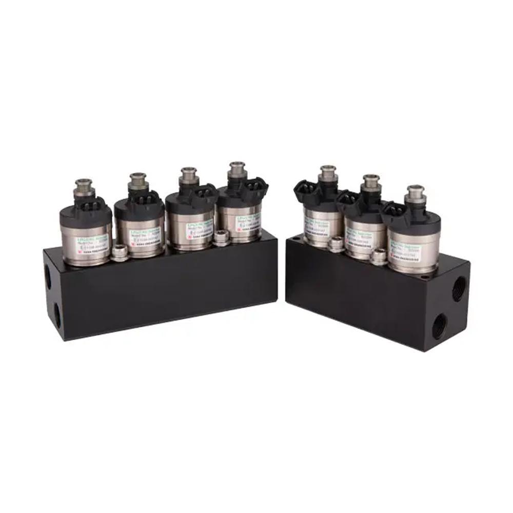 H2001 CNGLPG GAS rail Injector Series