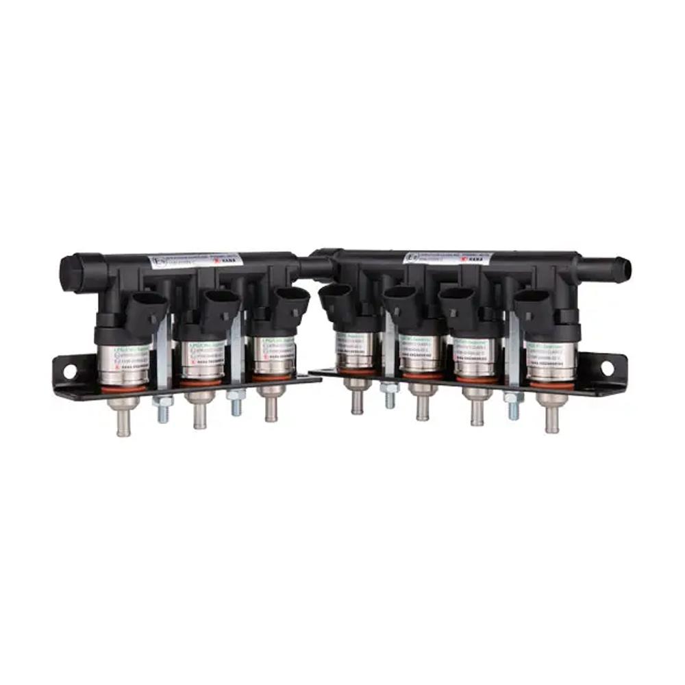 H2001 CNGLPG GAS rail Injector Series