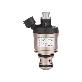 full image H2001 CNGLPG GAS rail Injector Series