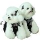 full image Tutu dress _pet clothes/fashion (4 colors)
