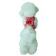 detail image4 Flower gold chain harness(pets products/dog fashion/dog /cat)_4 colors