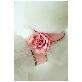 full image Flower gold chain harness(pets products/dog fashion/dog /cat)_4 colors