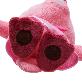detail image2 PORORO Toys Loopy Plush Doll - Baby Gift Toys for Kids Pink 11 inch