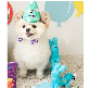 detail image2 Biteme Party Series - balloon dog toy