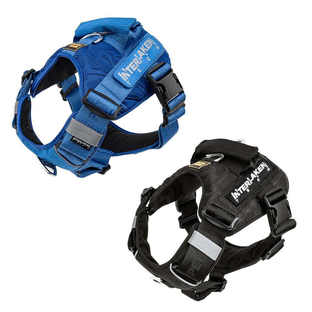 INTERLAKEN TECH HARNESS