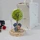 detail image5 LED Sweet Glass Dome Mood Light Special Day Gift