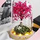 detail image2 LED Pink Fog Glass Dome Mood Light Lovely Color