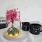 detail image4 LED Pink Fog Glass Dome Mood Light Lovely Color