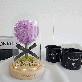 detail image3 LED purple glass dome mood light attractive color