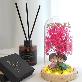 detail image5 LED Couple Blossom Glass Dome Mood Light Pure Love