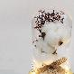 detail image4 LED Cotton Glass Dome Mood Lamp Cozy Cotton Light