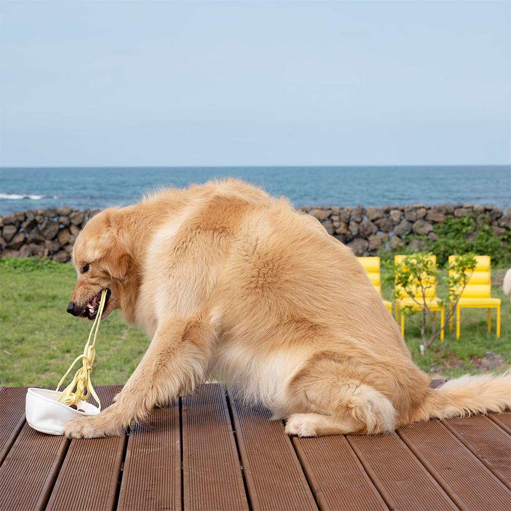Original Ma Ra Do Jjajang Dog Nosework Toy