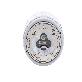 full image Ultraviolet/Infrared Flame Detector CS-UIE-C20F