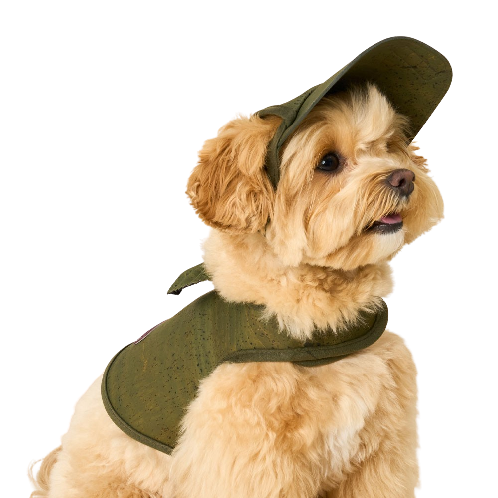 COCOGIO Cork Dog Hat_khaki