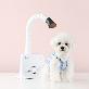 detail image1 DUZ Premium Hand Free Dryer for Pet (iMD-1000TPro)