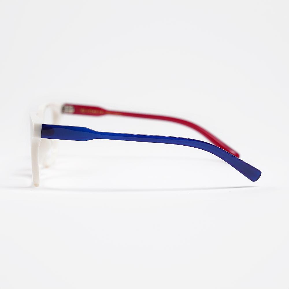 GLASSES/SUNGLASSES