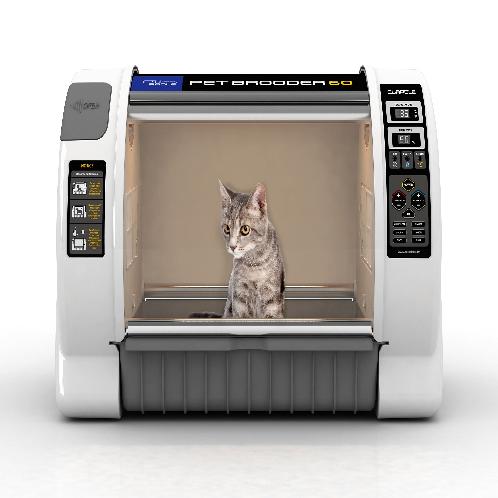 PET BROODER 60