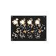 full image Printed Circuit Board Assembly, Surface Mount Technology, Electronic Manufacturing Services,