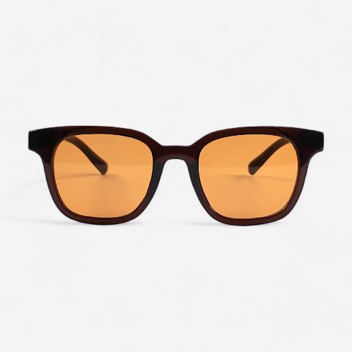 GLASSES/SUNGLASSES
