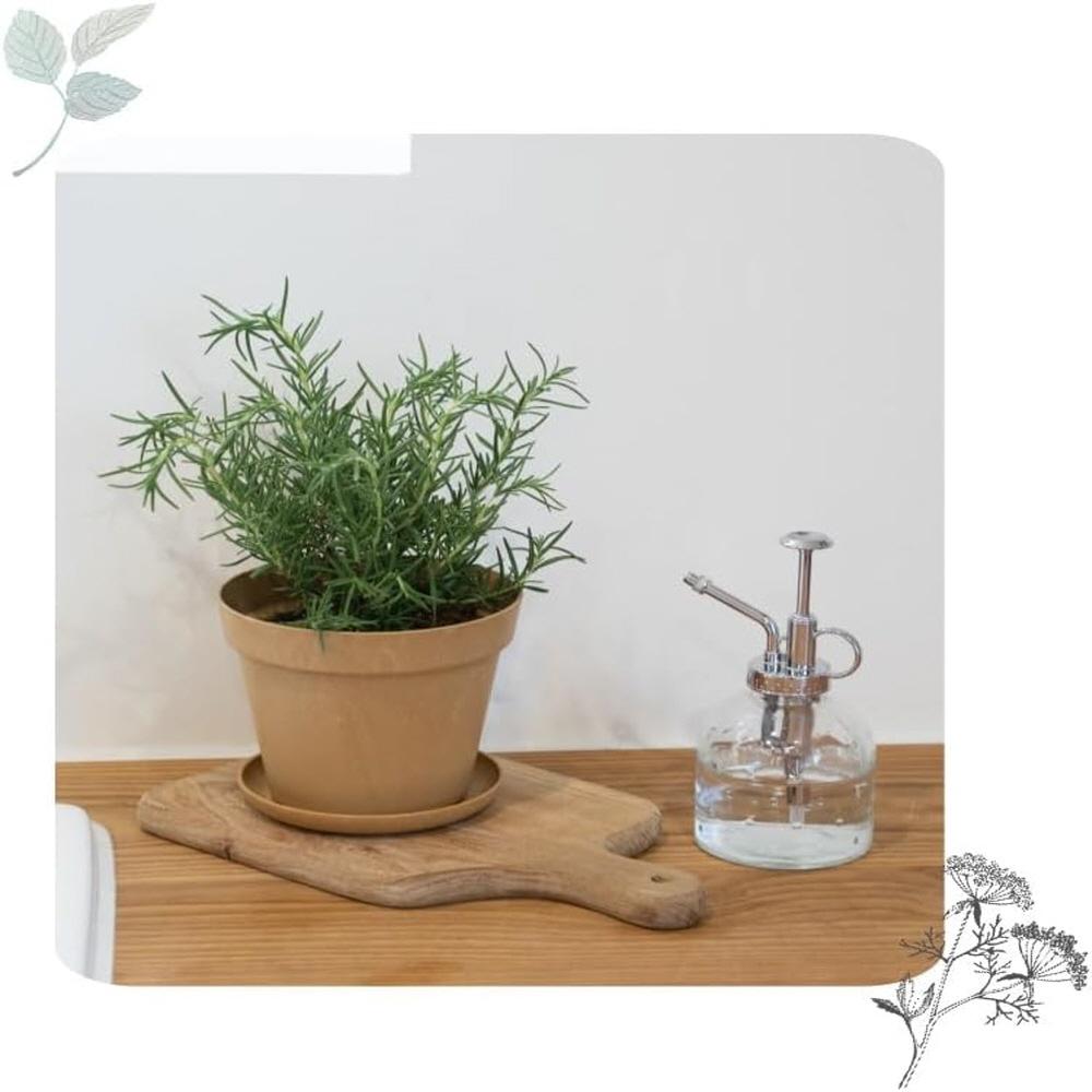 Freefactory Flower Plant Pot with Drainage Holes and Saucer Tray(Small/Brown)