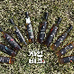 detail image2 Green tea fermented vinegar