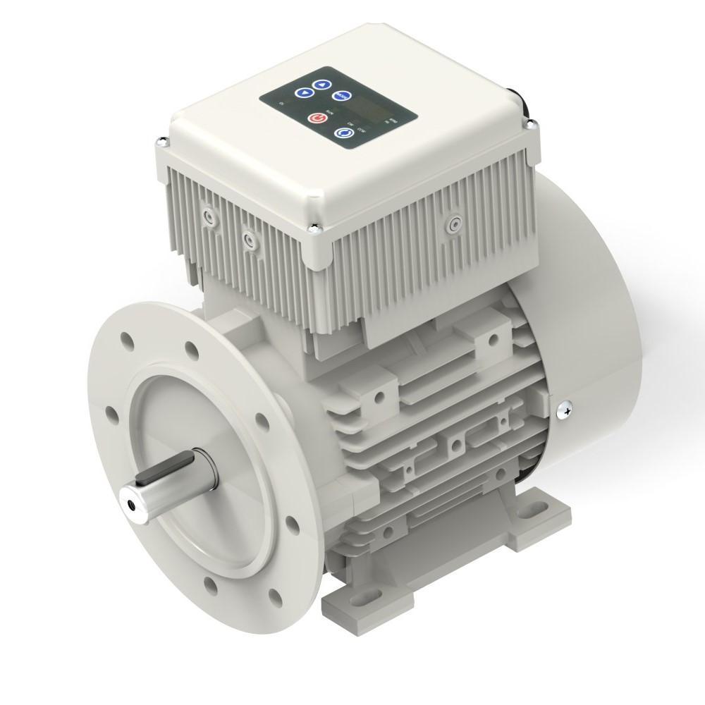 Inverter Motor