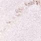 detail image1 MUZIGAE MANSION Fitting highlighter Fabulous