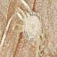 detail image2 Floral Corsage Dress