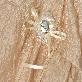 detail image3 Floral Corsage Dress